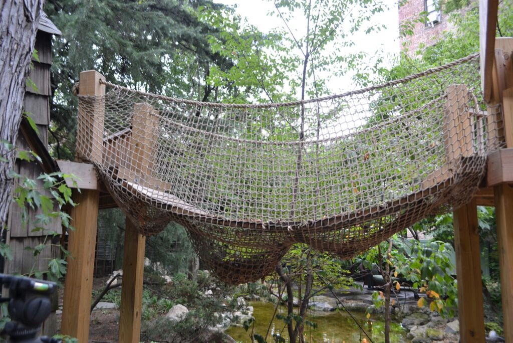 Rope Bridge - Traditional - Garden - London - by Treehouse Wizards