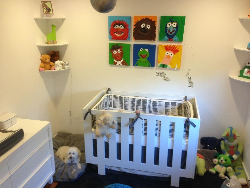 Design ideas for a traditional nursery in DC Metro.