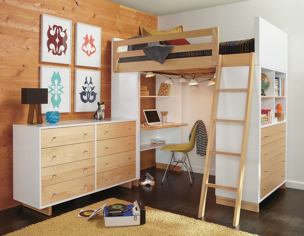 Idées déco pour une chambre d'enfant moderne avec un lit mezzanine.