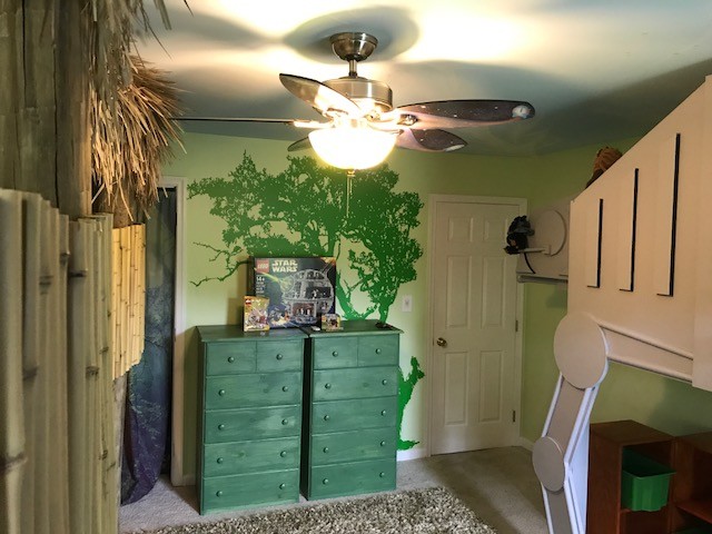 Inspiration for a medium sized bohemian children’s room for boys in DC Metro with green walls, carpet and brown floors.