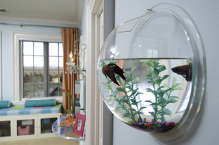 Aquarium Kinderzimmer Ideen Bilder Houzz