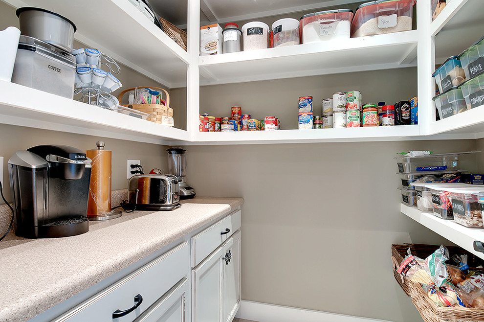 This is an example of a classic kitchen pantry in Other with recessed-panel cabinets.