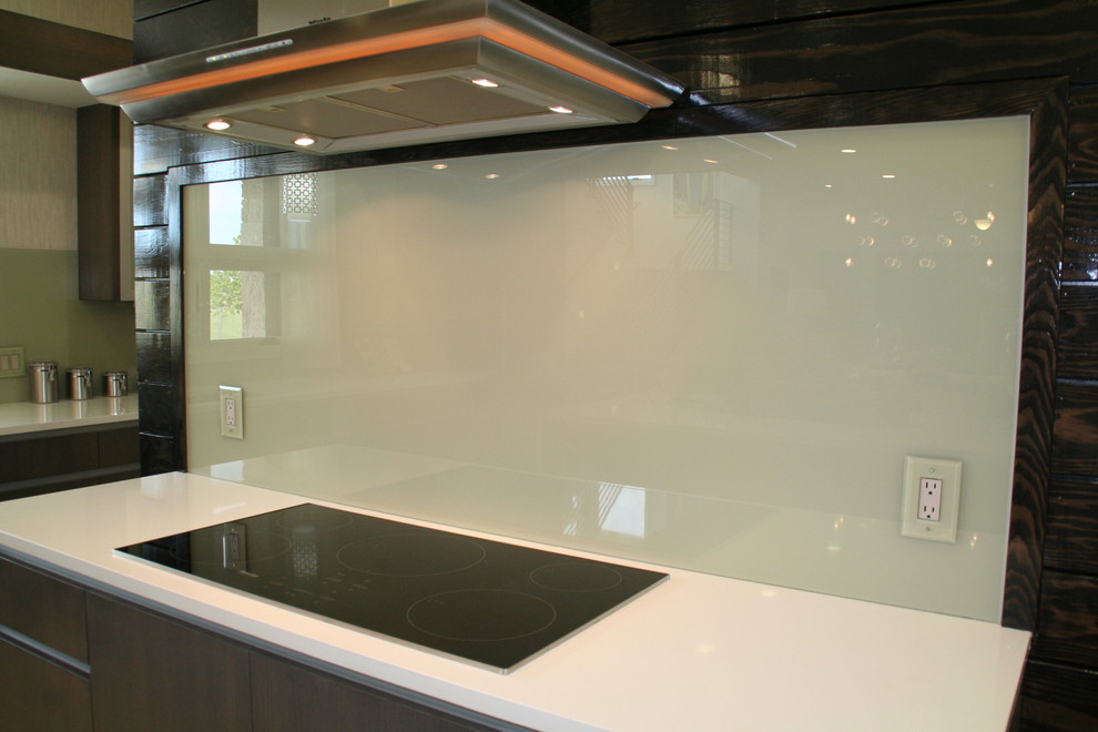 2009 Parade of Homes Back Painted Glass Contemporary Kitchen