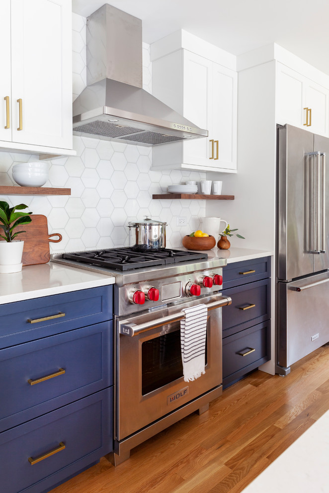 A Bold and Beautiful Blue Kitchen in Glen Ellyn Transitional