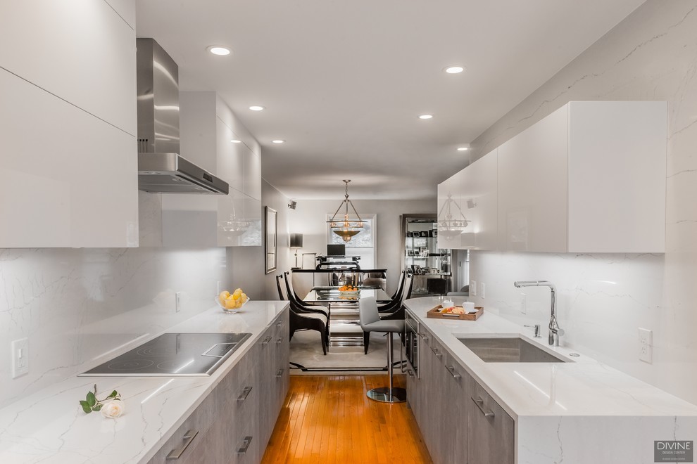 Bild på ett litet funkis vit vitt kök, med en undermonterad diskho, släta luckor, grå skåp, bänkskiva i kvarts, flerfärgad stänkskydd, stänkskydd i sten, integrerade vitvaror, mellanmörkt trägolv och flerfärgat golv