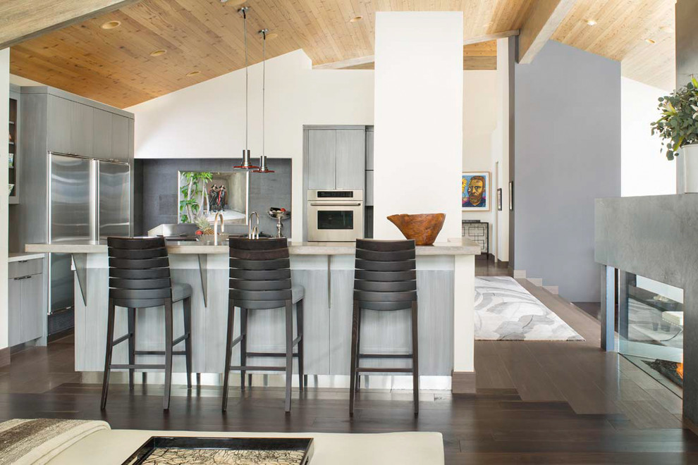 Immagine di una cucina minimal con ante lisce, ante grigie, paraspruzzi grigio, elettrodomestici in acciaio inossidabile e parquet scuro