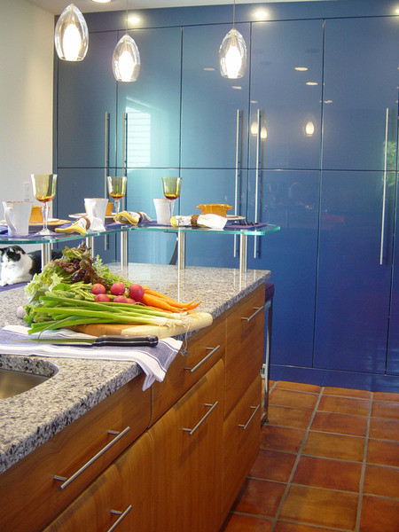 Kitchen - contemporary kitchen idea in Tampa