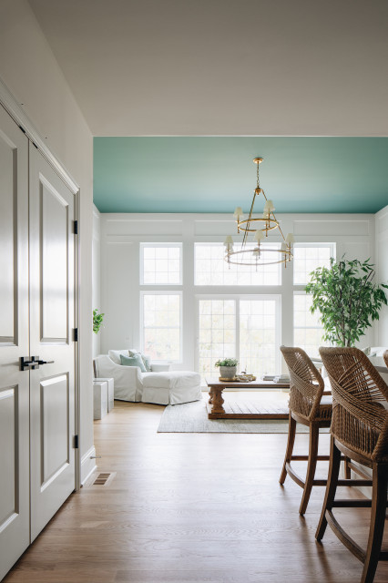 Aegean Teal Transitional Living Room Chicago by Timber Trails Development Company Houzz UK