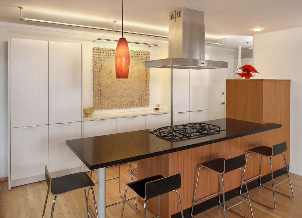Moderne Küchenbar mit flächenbündigen Schrankfronten und Küchengeräten aus Edelstahl in San Francisco
