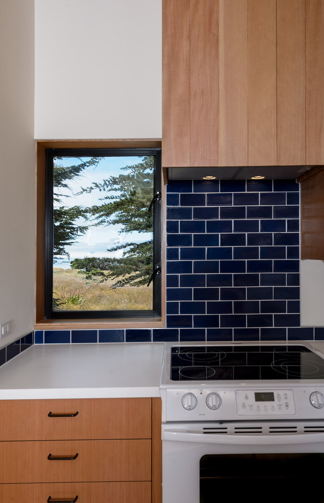 Anchorage Contemporary Kitchen San Francisco by Malcolm Davis