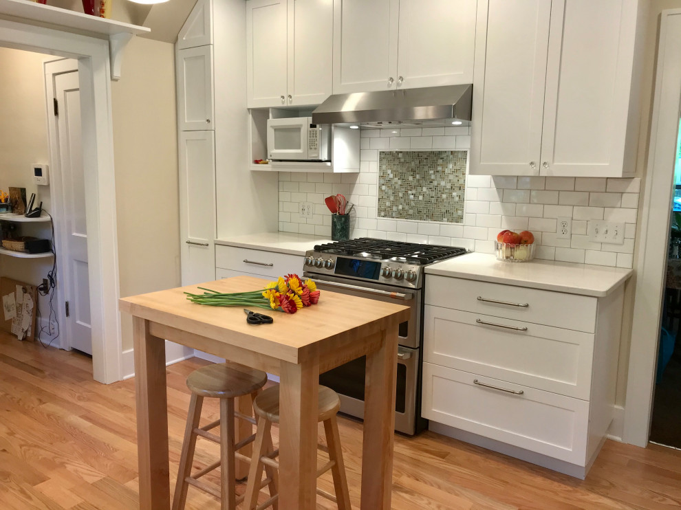 Ann Arbor Kitchen Remodel Burns Park Transitional Kitchen