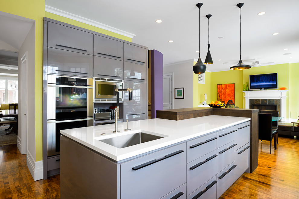 Moderne Küche mit Unterbauwaschbecken, flächenbündigen Schrankfronten, grauen Schränken und Küchengeräten aus Edelstahl in Ottawa