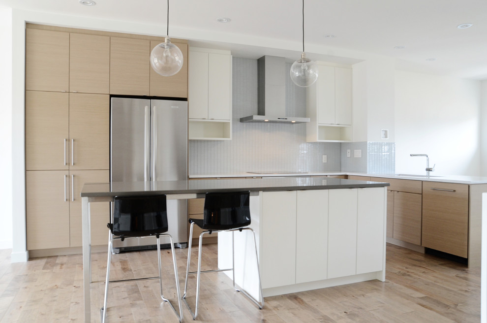 Example of a minimalist kitchen design in Calgary