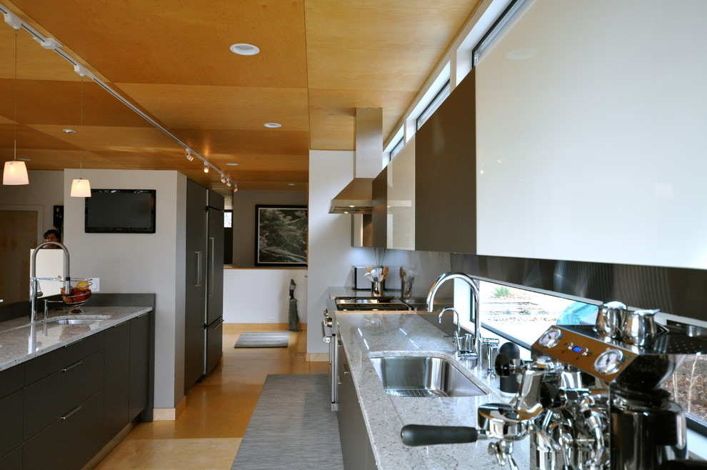 Zweizeilige Moderne Wohnküche mit Unterbauwaschbecken, Glasfronten, grauen Schränken, Granit-Arbeitsplatte und Küchengeräten aus Edelstahl in Grand Rapids