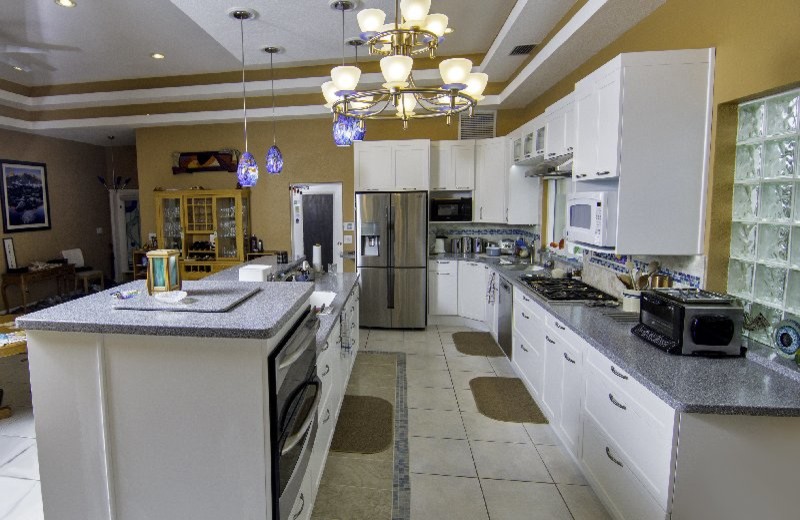 Große Moderne Wohnküche in U-Form mit integriertem Waschbecken, flächenbündigen Schrankfronten, weißen Schränken, Edelstahl-Arbeitsplatte, Küchenrückwand in Weiß, Rückwand aus Glasfliesen, Küchengeräten aus Edelstahl, Keramikboden und Kücheninsel in Tampa
