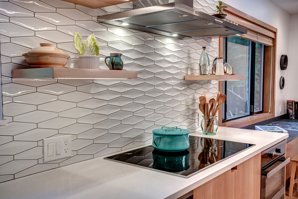 Bellevue Modern Kitchen and Bath Renovation Modern Kitchen