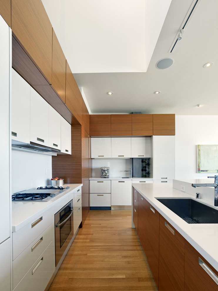 Modern kitchen in San Francisco with flat-panel cabinets.