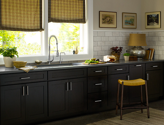 Example of a trendy kitchen design in Minneapolis with black cabinets