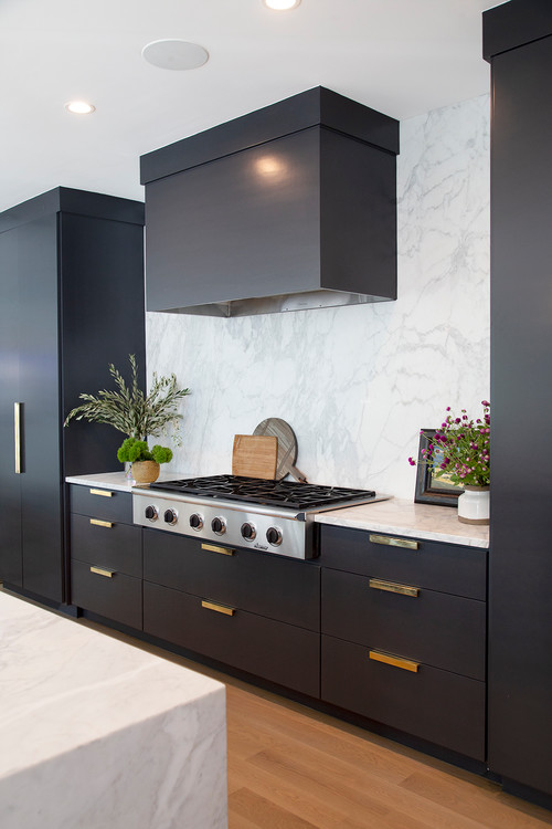 Black Kitchen With Brass Fixtures Design Ideas