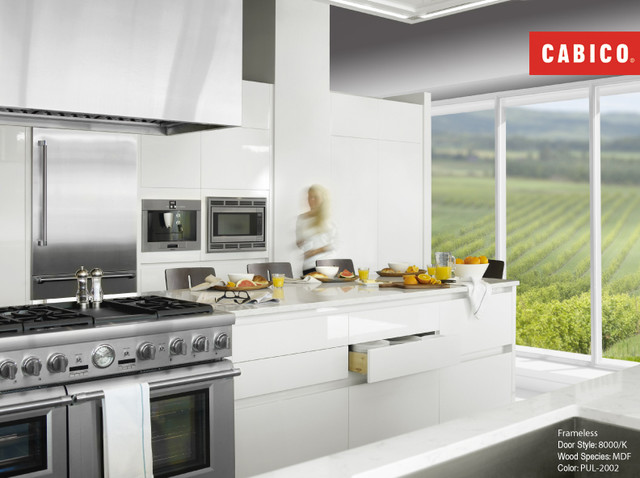 Cabico Moderne Cuisine Edmonton Par Gem Cabinets LTD Houzz   Cabico Gem Cabinets Ltd Img~24111f6406cdf8a6 4 2774 1 A6ae8ff 