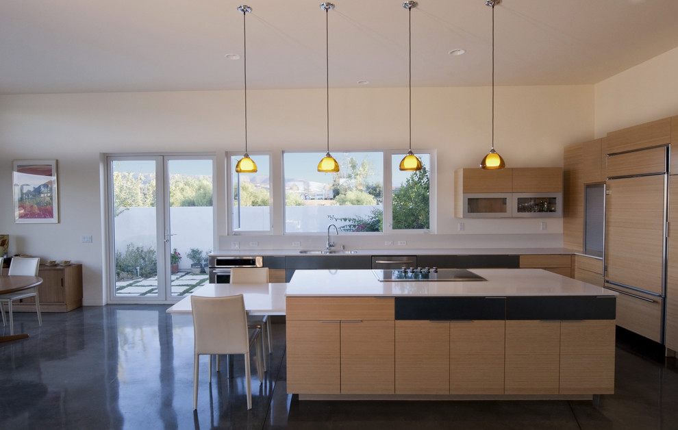 Идея дизайна: кухня-гостиная в стиле модернизм с двойной мойкой, плоскими фасадами, фасадами цвета дерева среднего тона и техникой под мебельный фасад