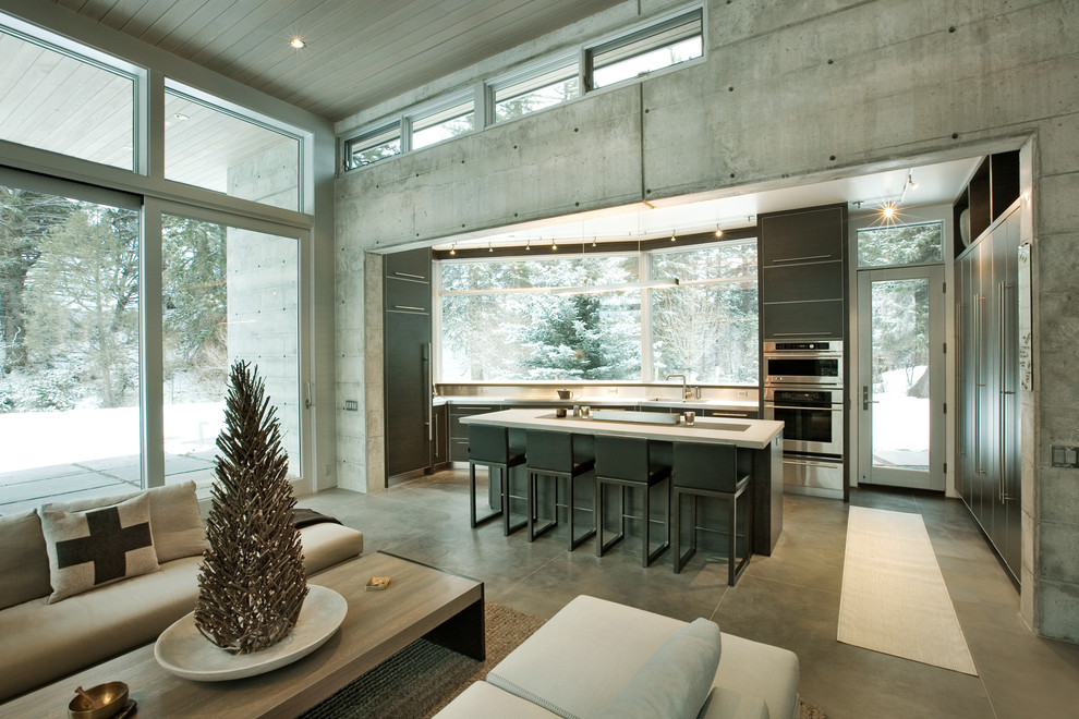 Стильный дизайн: кухня-гостиная в стиле модернизм с плоскими фасадами, серыми фасадами и техникой из нержавеющей стали - последний тренд