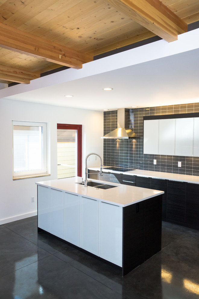 CH2 Passive House Modern Kitchen Portland by PDX Living, LLC Houzz