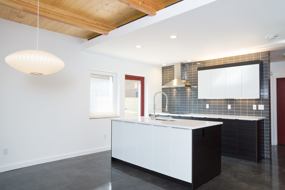 CH2 Passive House Modern Kitchen Portland by PDX Living, LLC Houzz