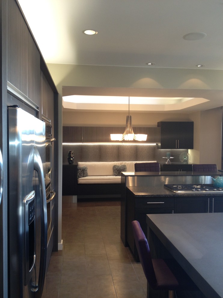 CHAMPAIGN KITCHEN RENOVATION Contemporary Kitchen Chicago by Donica Blager Houzz