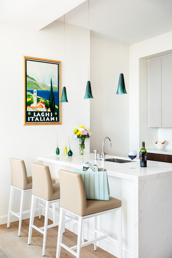 Kleine Moderne Küche in U-Form mit flächenbündigen Schrankfronten und braunem Holzboden in New York