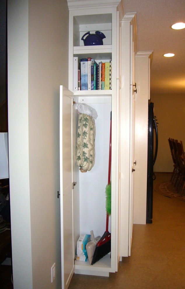 Cleaning Storage Transitional Kitchen Minneapolis by