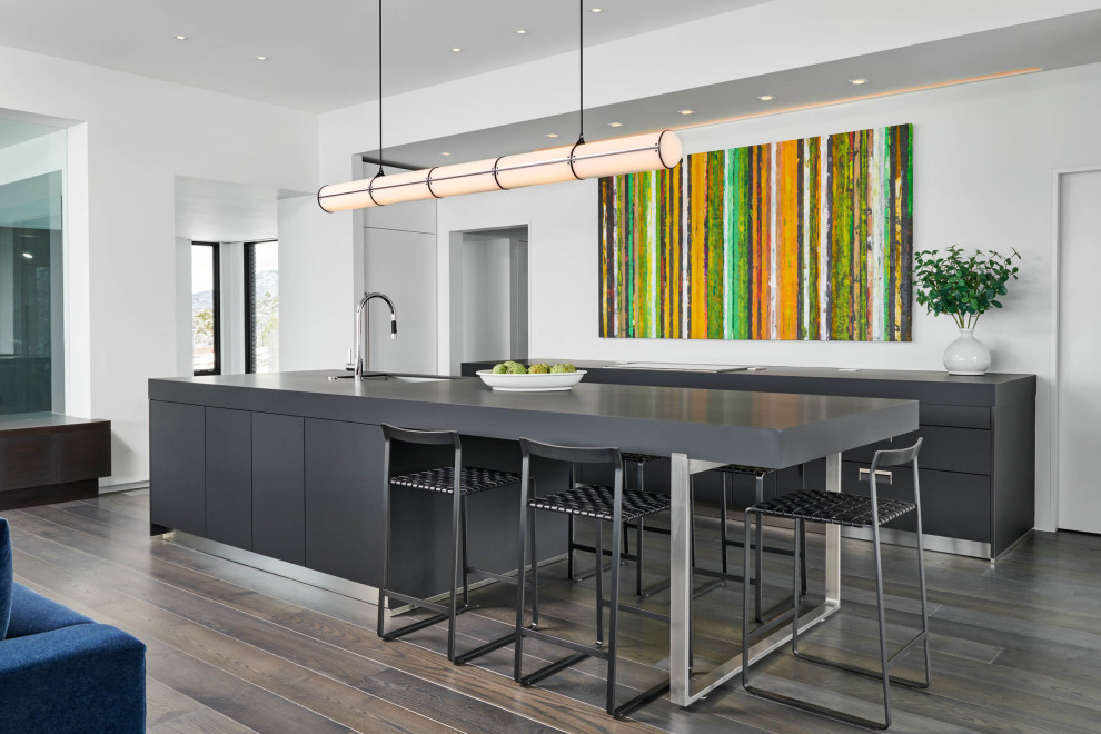 Foto di una cucina design con lavello sottopiano, ante lisce, ante grigie, parquet scuro, pavimento marrone e top grigio