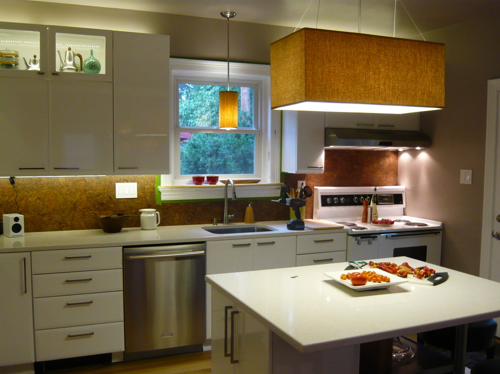 Kitchen - contemporary kitchen idea in Richmond