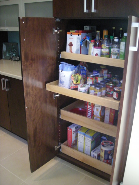 Contemporary Kitchen Bonaire Ga Taurus Cabinetry Img~14514056041c9483 4 9573 1 E3a4a59 