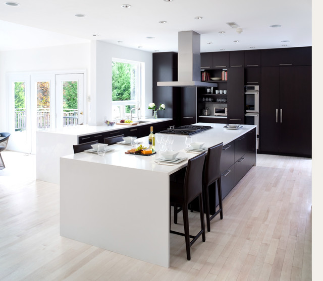 Contemporary Kitchen Design in Potomac, MD Modern Küche