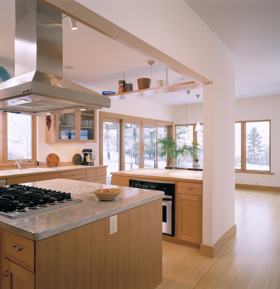 Modelo de cocina actual con armarios tipo vitrina y electrodomésticos de acero inoxidable