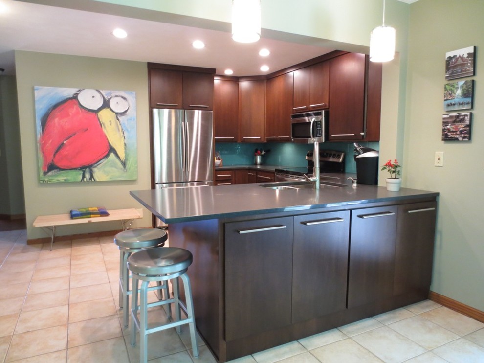 Contemporary Kitchen Refacing - Contemporary - Kitchen - Chicago - by Cherrytree Kitchens