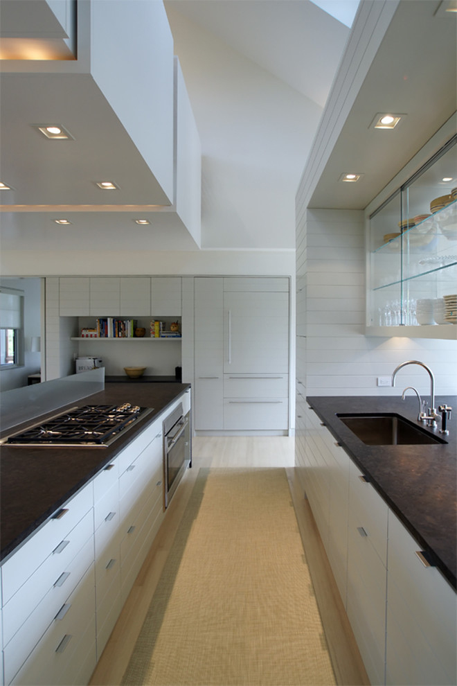 Moderne Küche mit Waschbecken, flächenbündigen Schrankfronten, grauen Schränken, Granit-Arbeitsplatte und Elektrogeräten mit Frontblende in Sonstige