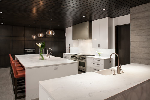 Luxury modern kitchen with RTA cabinets and quartz countertops showcasing long-term durability and investment value