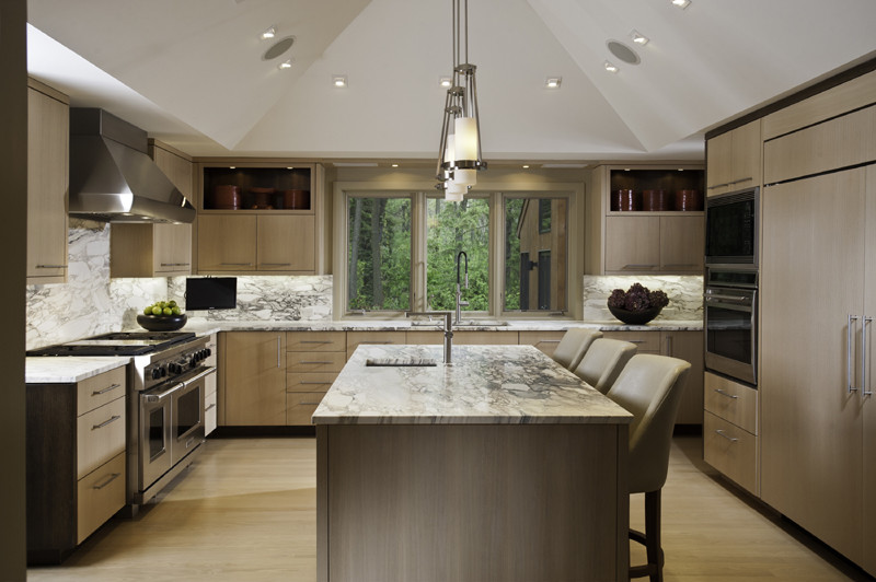 Design ideas for a contemporary kitchen in Chicago.