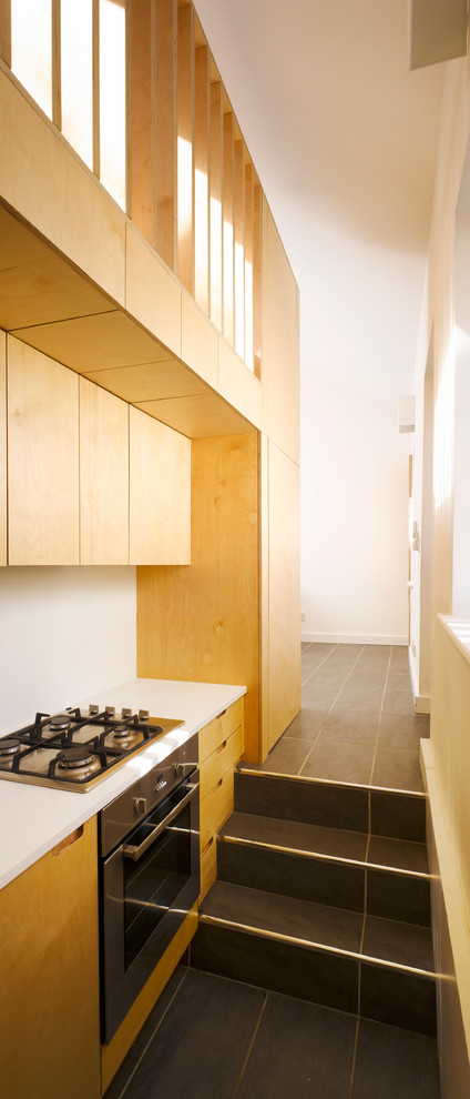 Kleine Moderne Küche ohne Insel mit flächenbündigen Schrankfronten und hellbraunen Holzschränken in Dublin