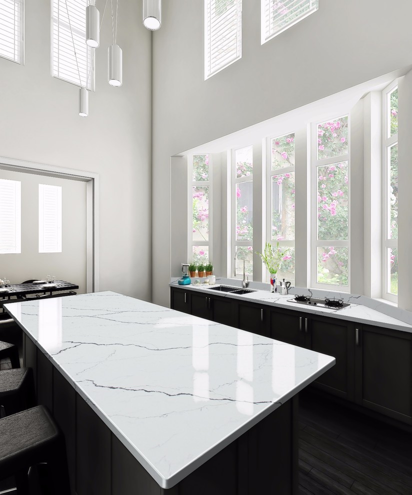 Immagine di una cucina minimal di medie dimensioni con lavello sottopiano, ante con riquadro incassato, ante nere, top in quarzite, elettrodomestici in acciaio inossidabile, parquet scuro, pavimento nero e top bianco