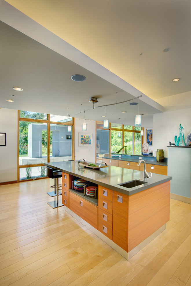 Moderne Küche mit Unterbauwaschbecken, flächenbündigen Schrankfronten und hellbraunen Holzschränken in Sacramento