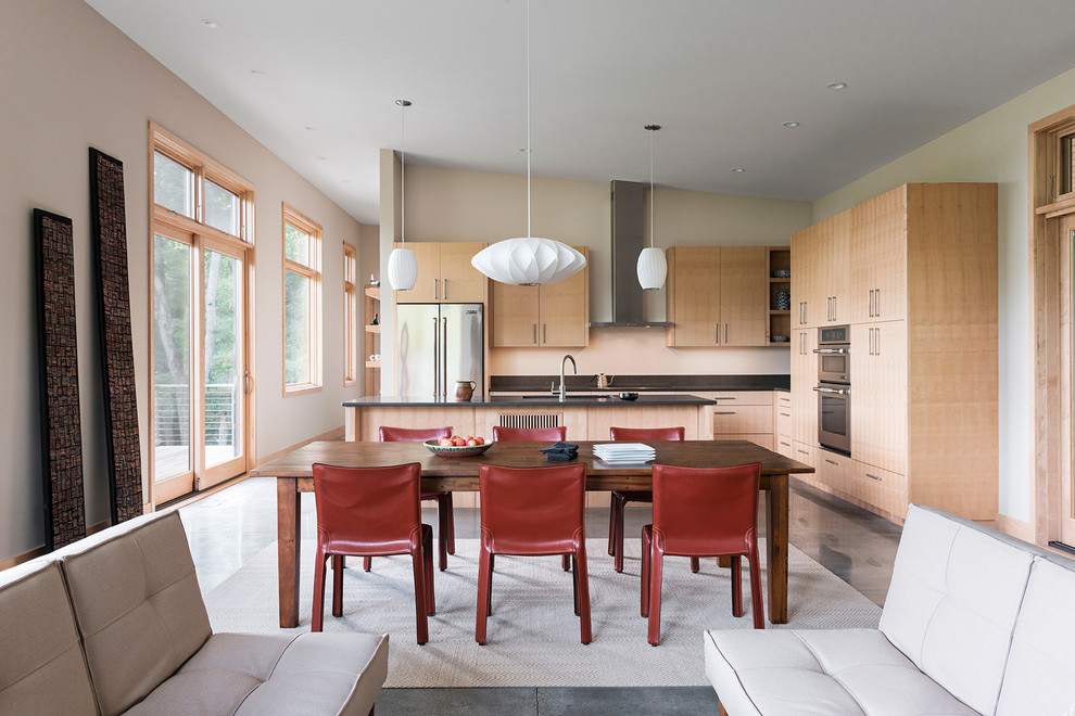 Immagine di una piccola cucina moderna con lavello sottopiano, ante lisce, ante in legno chiaro, elettrodomestici in acciaio inossidabile, pavimento in cemento e pavimento grigio
