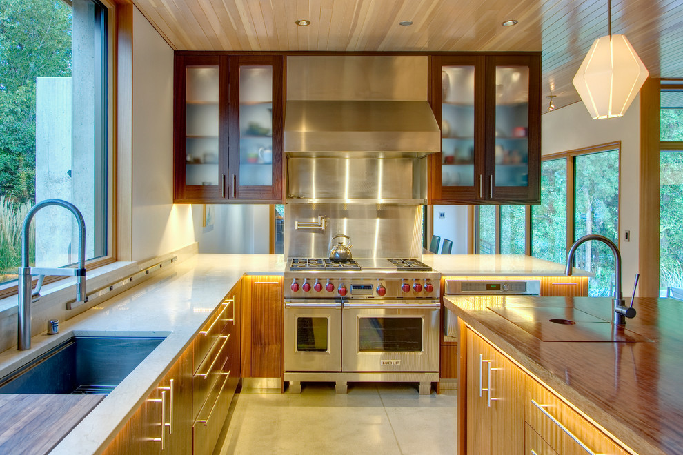 Immagine di una cucina minimal di medie dimensioni con lavello sottopiano, ante di vetro, ante in legno scuro, top in superficie solida, elettrodomestici in acciaio inossidabile e pavimento in cemento