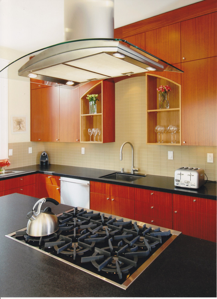Curved Stove Hood Contemporary Kitchen San Francisco by Andre