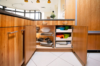 https://st.hzcdn.com/simgs/pictures/kitchens/custom-cabinet-drawers-and-pull-out-systems-nadler-cabinet-services-inc-img~b5015e7d0a11f3f2_3-9131-1-00e0a9b.jpg