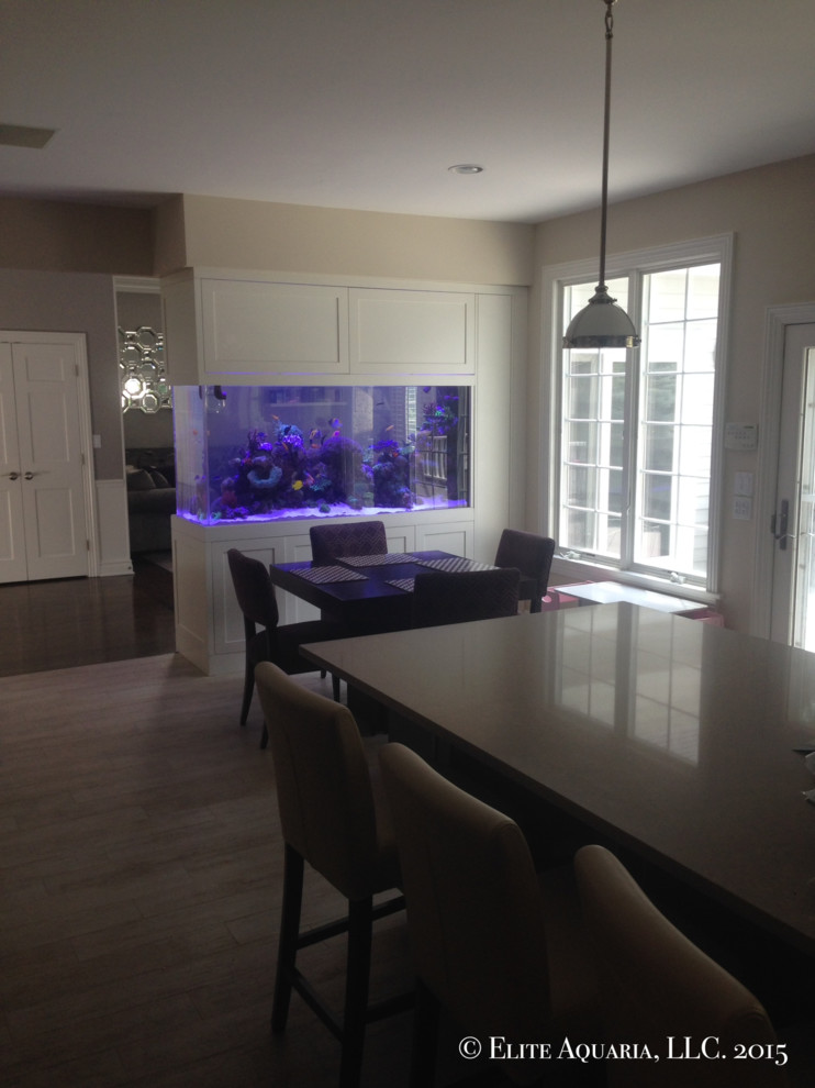 Custom Saltwater Aquarium, Westchester NY Contemporary Kitchen
