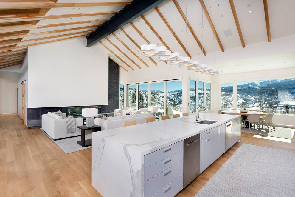 Große Moderne Küche mit Glasfronten, Edelstahlfronten, Marmor-Arbeitsplatte, Küchenrückwand in Weiß, Küchengeräten aus Edelstahl, hellem Holzboden, Kücheninsel und braunem Boden in Denver
