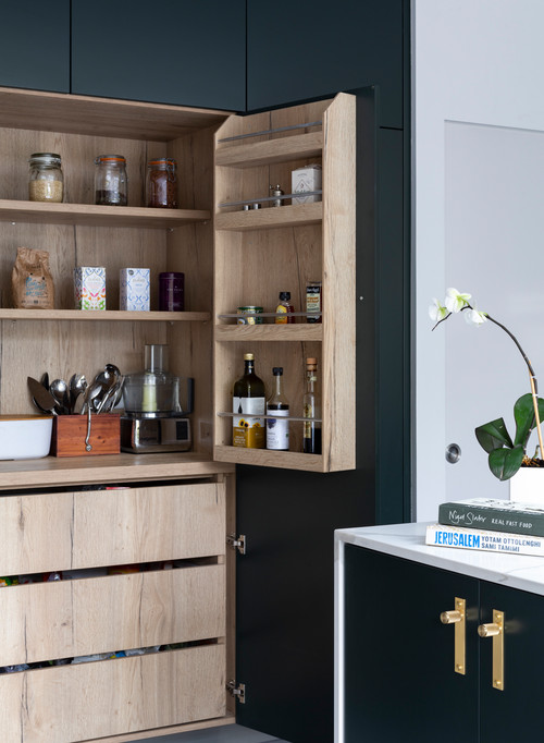 Contemporary Green Cabinet Pantry: Storage Cabinet Solutions